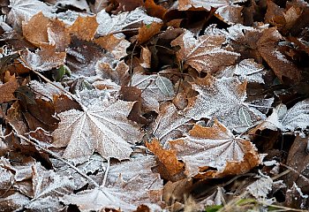 Przeważnie pochmurno, bez opadów — niewielkie ocieplenie możliwe jutro [POGODA]