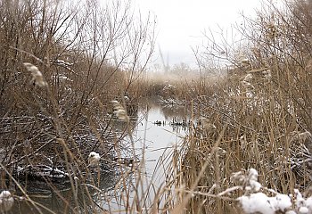 Duże zachmurzenie i przelotne opady [POGODA]