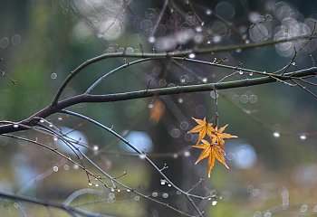 Bydgoszcz: przeważnie pochmurno, łagodne temperatury [POGODA]