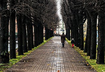 Zachmurzenie i umiarkowany zachodni wiatr [POGODA]