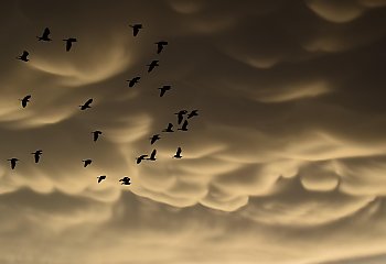 Szare niebo i chłodny południowy wiatr nad Bydgoszczą [POGODA]