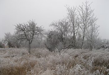 Chłodne noce, łagodne popołudnia [POGODA]