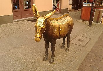 Kto naprawdę zyskuje na konflikcie Bydgoszczy z Toruniem? [ANALIZA]