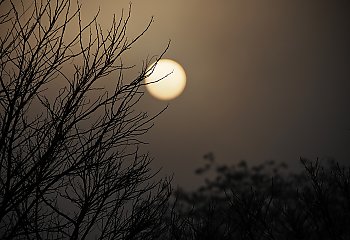 Całkowite zachmurzenie i słabe opady [POGODA]