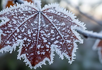 Mroźne, pogodniejsze dwa dni [POGODA]