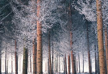 Mróz rano, ocieplenie jutro — suchy front nad Bydgoszczą [POGODA]
