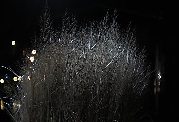 Chmury i chłód, wiatr z zachodu [POGODA]