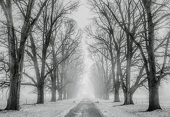 Przelotne opady i wiatr na horyzoncie [POGODA]