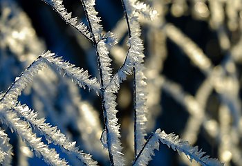 Przed nami silne mrozy. IMGW wydało ostrzeżenie pierwszego stopnia