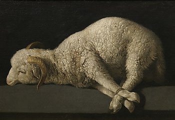 „Oto Baranek Boży”. Jedno zdanie, które streszcza całe chrześcijaństwo