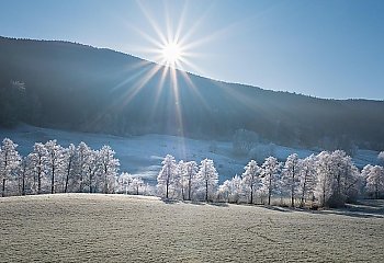 Krótkie ocieplenie w dzień, mroźne noce [POGODA]