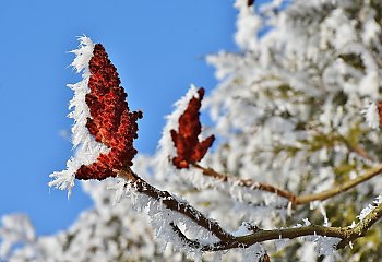 Mroźne i  suche dni w Bydgoszczy  [POGODA]