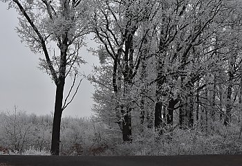 Mroźne, pochmurne dni bez opadów w Bydgoszczy [POGODA]