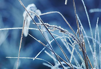 Mróz i monotonne chmury nad Bydgoszczą [POGODA]