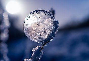 Mocny mróz i sucho, wiatr ze wschodu [POGODA]