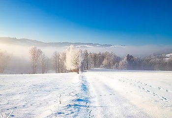 Mroźne noce, słoneczne dni nad Bydgoszczą [POGODA]