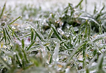 Pochmurno, mroźno i ślisko w Bydgoszczy. [POGODA]