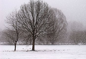 Pochmurno i mroźno, słabe opady śniegu [POGODA]