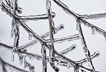 Bydgoszcz: mroźne noce, przeważnie pochmurno z nieznaczną odwilżą [POGODA]