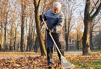 Dorabiający emeryci i renciści, czas się rozliczyć! Zakład Ubezpieczeń Społecznych przypomina o obowiązku 