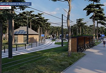 Jest już ogrodzenie i są pierwsze nasadzenia. ZDMiKP w Bydgoszczy raportuje o postępach prac na torowisku przy Lesie Gdańskim