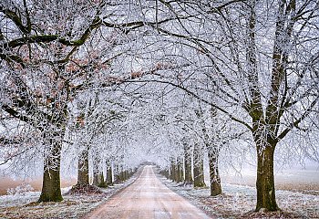 Mroźne noce, chłodne dni i możliwy przelotny śnieg [POGODA]