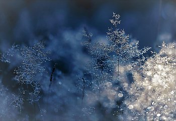 Mroźny dzień i słabe opady w Bydgoszczy [POGODA]