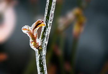 Całkowite zachmurzenie i słabe opady [POGODA]