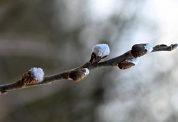 Pochmurno i wietrznie, bez opadów [POGODA]