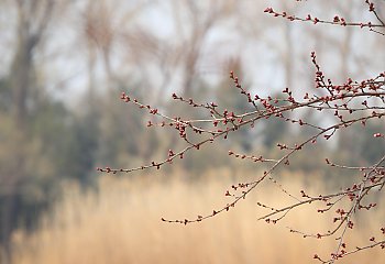 Suche i łagodne powietrze nad miastem. Spokojna pogoda w Bydgoszczy [POGODA]