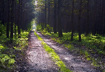 Słoneczne i suche dwie doby w Bydgoszczy [POGODA]