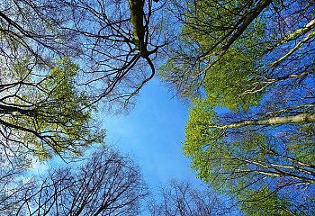 Słonecznie i łagodnie przez 48 godzin w Bydgoszczy [POGODA]