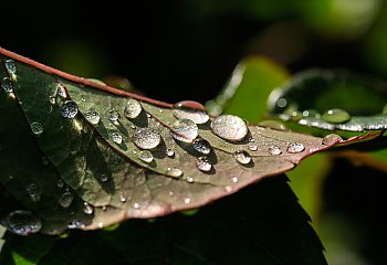 Rześko i wiosennie w Bydgoszczy [POGODA]