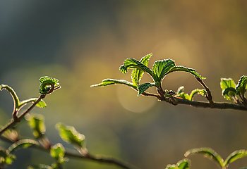 Słonecznie i sucho przez 48 godzin [POGODA]