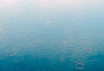 Lekkie ochłodzenie i wiosenne deszcze nad Bydgoszczą [POGODA]