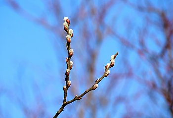 Umiarkowane zachmurzenie i łagodny wiatr. Co przyniesie najbliższe 48 godzin? [POGODA]