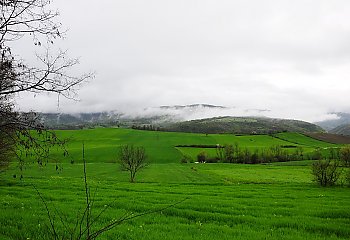 Pochmurno i łagodnie przez dwa dni w Bydgoszczy [POGODA]