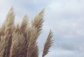 Pełne zachmurzenie i porywisty wiatr przez 48 godzin [POGODA]