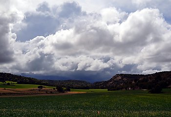 Umiarkowane zachmurzenie, bez opadów. Wiatr z północnego zachodu [POGODA]