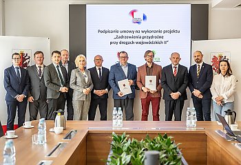 Aleje drzew wrócą do kujawsko-pomorskich dróg. Najpierw Chełmno, Unisław i Barcin