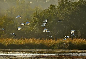 Bez opadów, chłodne noce i łagodne dni [POGODA]