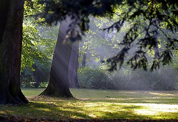 Spokojnie i pogodnie w Bydgoszczy [POGODA]