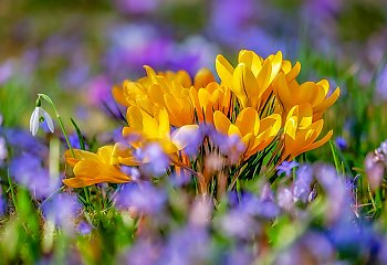 Zmienna aura i więcej chmur [POGODA]