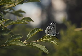 Przejaśnienia i porywisty wiatr w Bydgoszczy [POGODA]