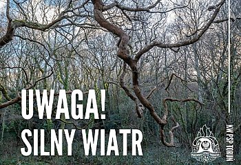 Pracowite Święta dla kujawsko-pomorskich strażaków. Przez silny wiatr musieli interweniować ponad 200 razy