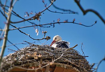 Spokojna, sucha pogoda z chłodnymi nocami [POGODA]