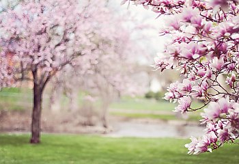 Słonecznie i sucho  w Bydgoszczy [POGODA]
