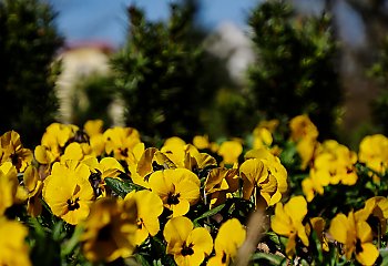 Ciepło i sucho w Bydgoszczy przez 48 godzin [POGODA]