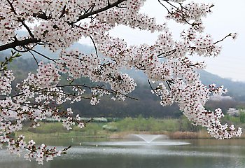 Słonecznie i sucho przez 48 godzin [POGODA]