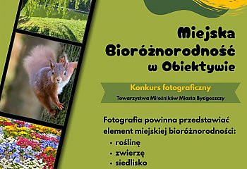 Miejska przyroda w obiektywie. Rusza konkurs fotograficzny w Bydgoszczy